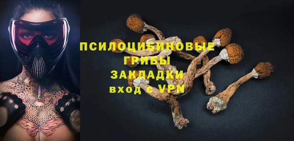 прущий лед Алексин