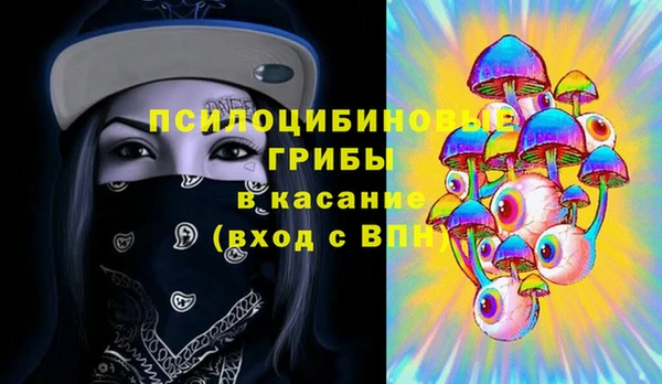 соль ск Алексеевка