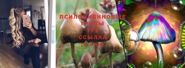 СК Абдулино