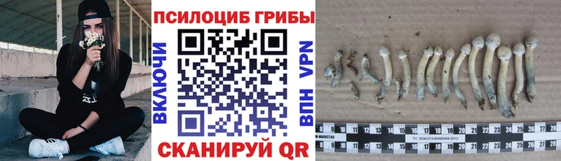 Галлюциногенные грибы ЛСД  blacksprut зеркало  Починок 